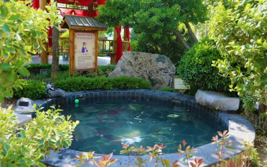 潍坊临朐揽翠湖泡温泉,临朐揽翠湖温泉攻略