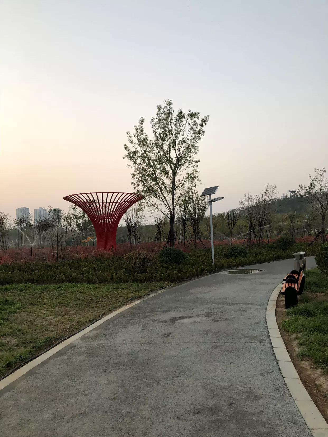 郑州国家森林公园夜游,郑州森林公园冬日游