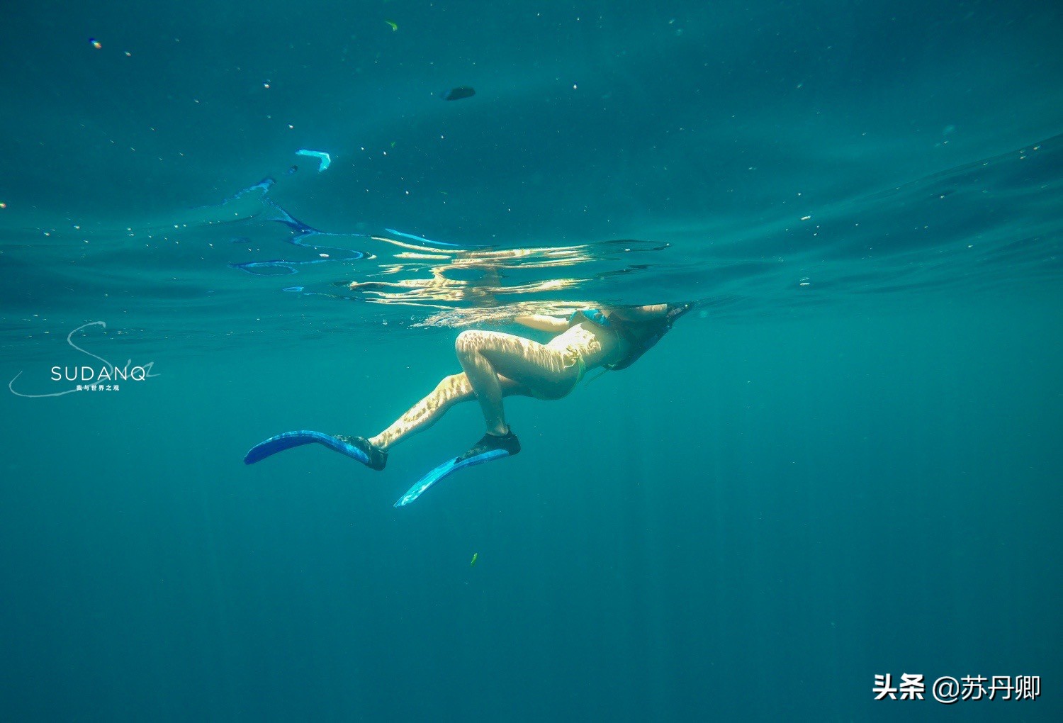 潜水多危险,自由潜水极限运动危险程度