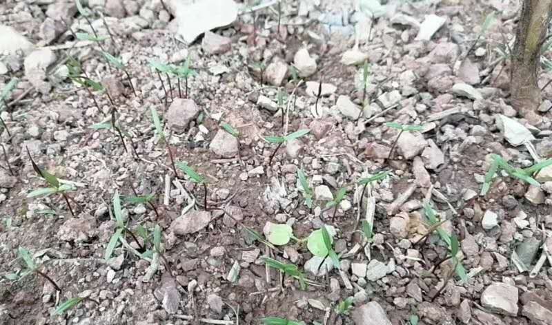 创业之路第十二集解析,创业之路第5集免费观看