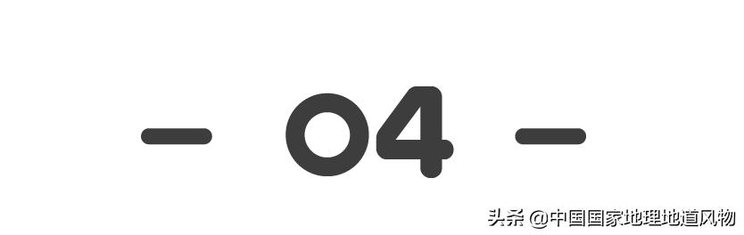 黑龙江和山东谁是农业大省,黑龙江和河南谁是第一粮仓