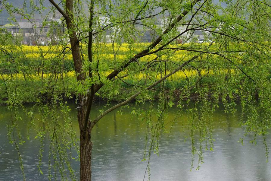 柳宗元表达自己不甘的诗句,柳宗元表达豪情壮志的诗