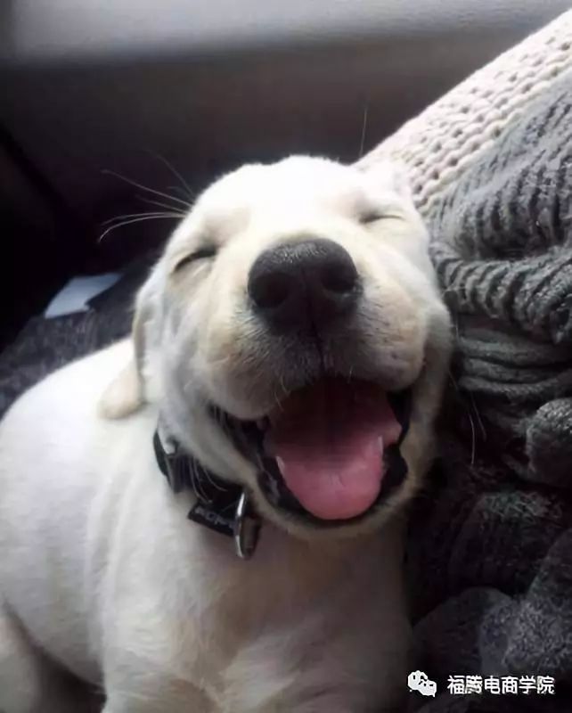 淘宝账号被封了怎么重新注册,一个人怎么注册多个淘宝账号