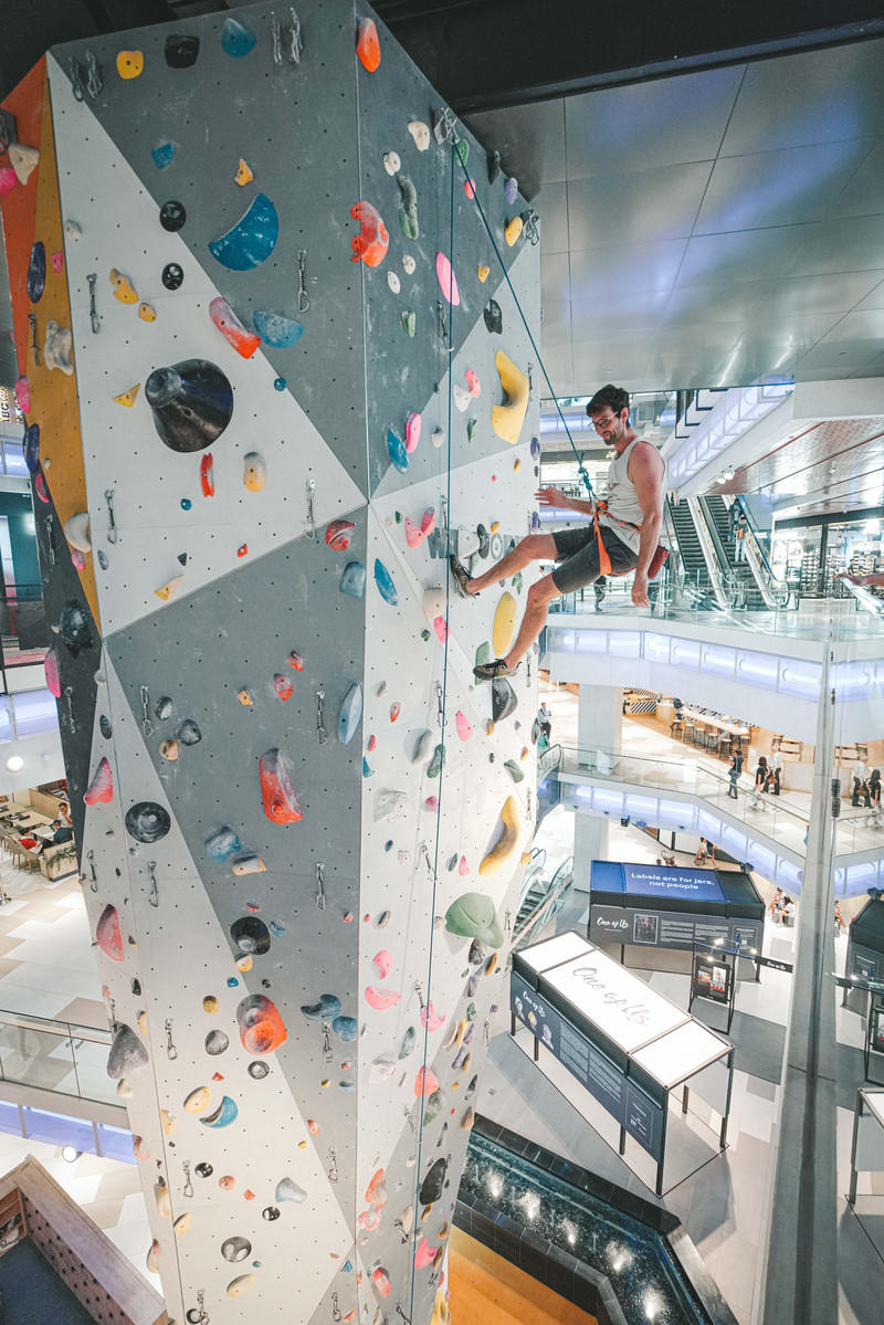 一人一猫环游,一人一猫旅行