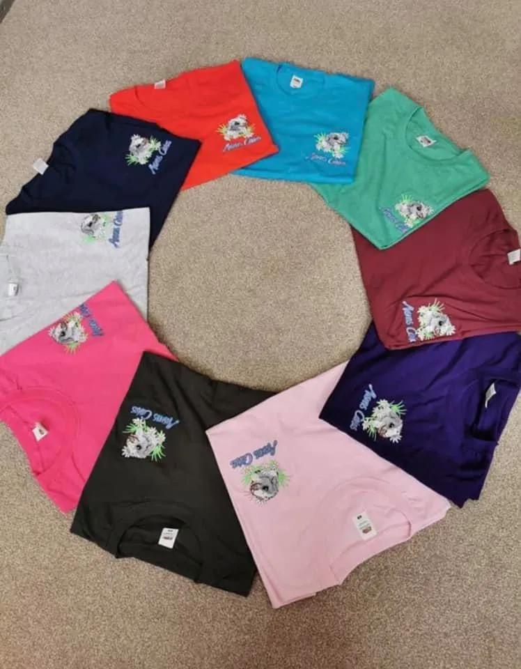 一群母豚鼠混入一只公豚鼠后：生几十只鼠崽，铲屎官年入几十万