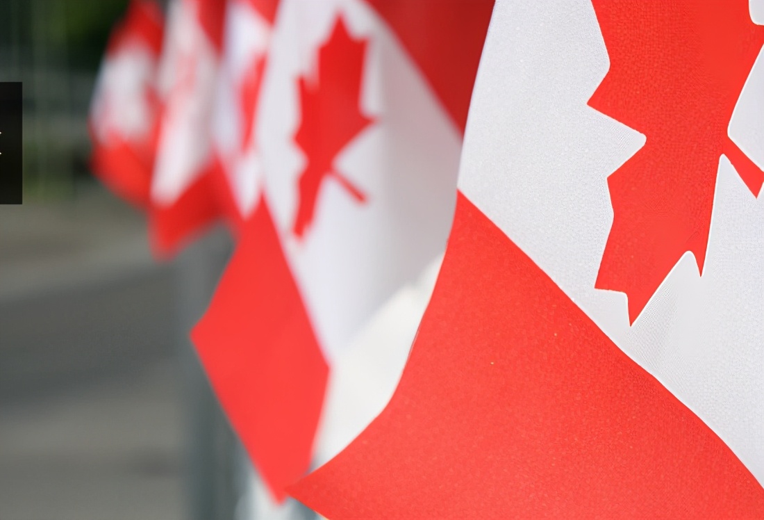 加拿大拿到中国20万吨订单,加拿大20万吨货物进入中国了吗