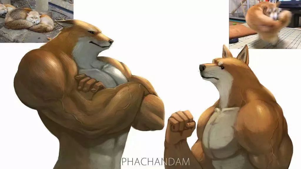 *兽禽**们搞起比利来有多“骚”？