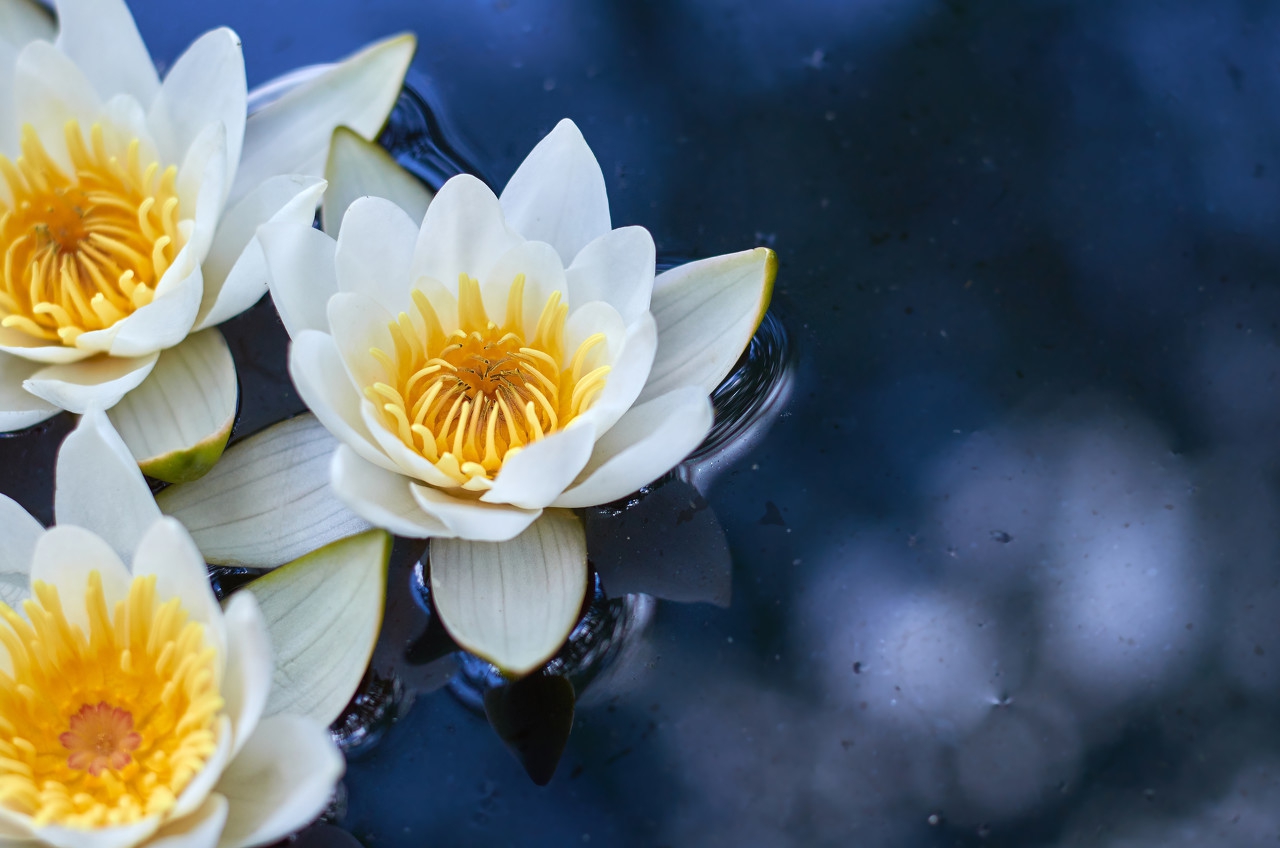 课外阅读每日一练四,课外阅读训练每日一练