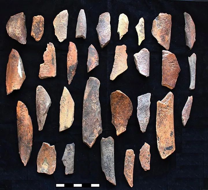 西伯利亚挖掘猛犸象化石,西伯利亚发现神秘洞穴