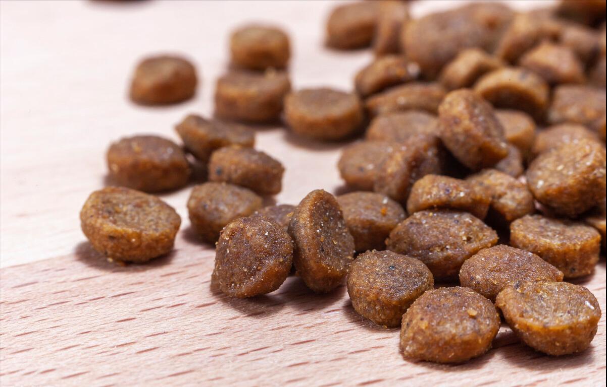 比熊吃鸡肉狗粮还是鸭肉狗粮好,小体比熊狗粮推荐皇家狗粮