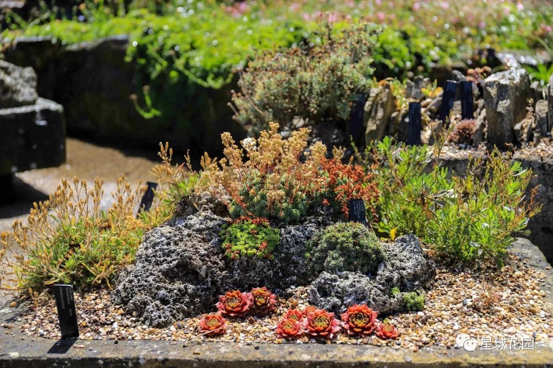 二木带你游花园|邱园（kewgarden）离我们到底有多远？