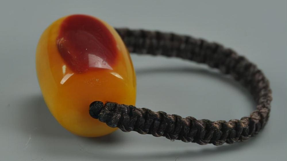 头骨最值钱鸟,头骨很珍贵的鸟