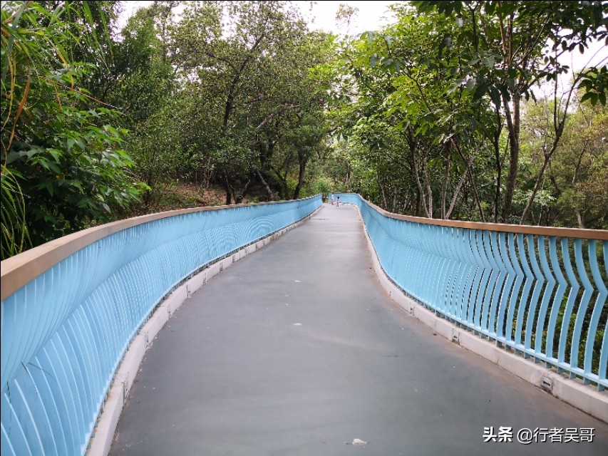 泉州大坪山线绿道（泉州版山海健康步道）