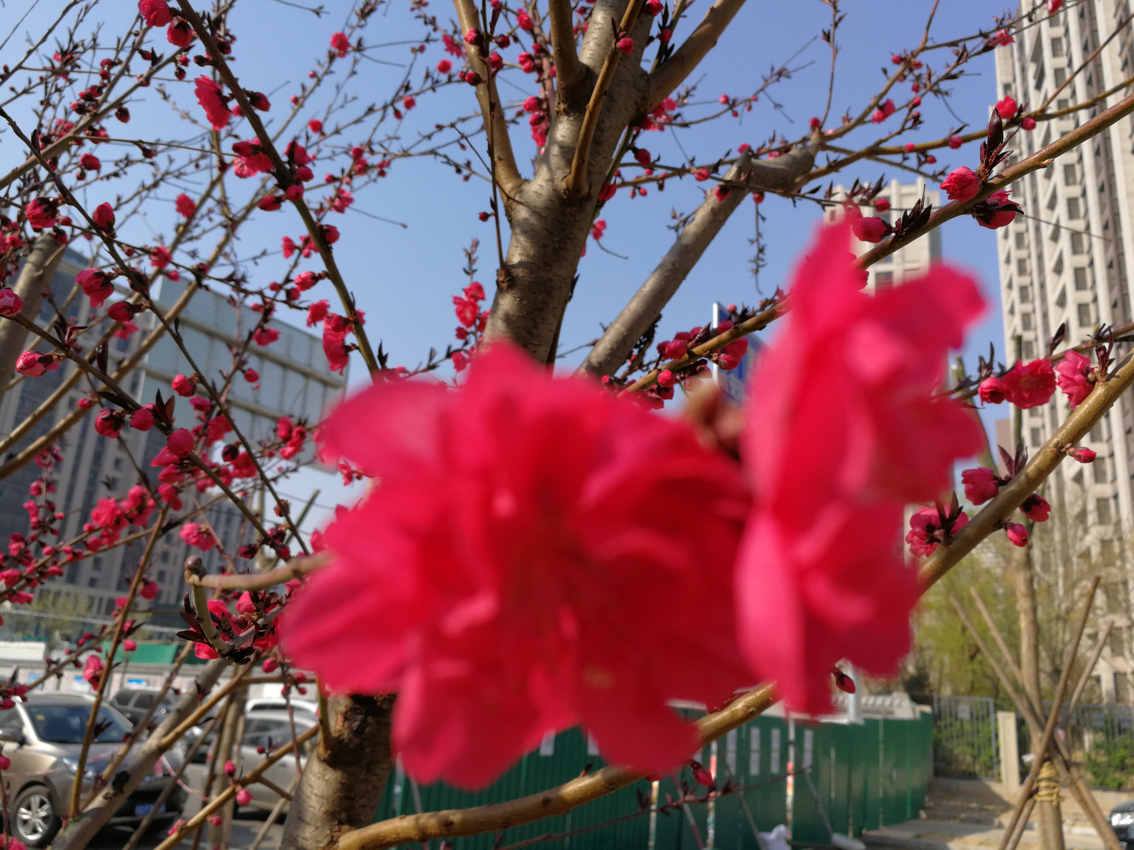 去香港旅游怎么换汇 (去香港旅游需要银行流水吗)