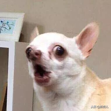 新娱儿追个星，还被非法拘禁，WTF!!