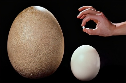 女朋友的胸，为什么忽大忽小？