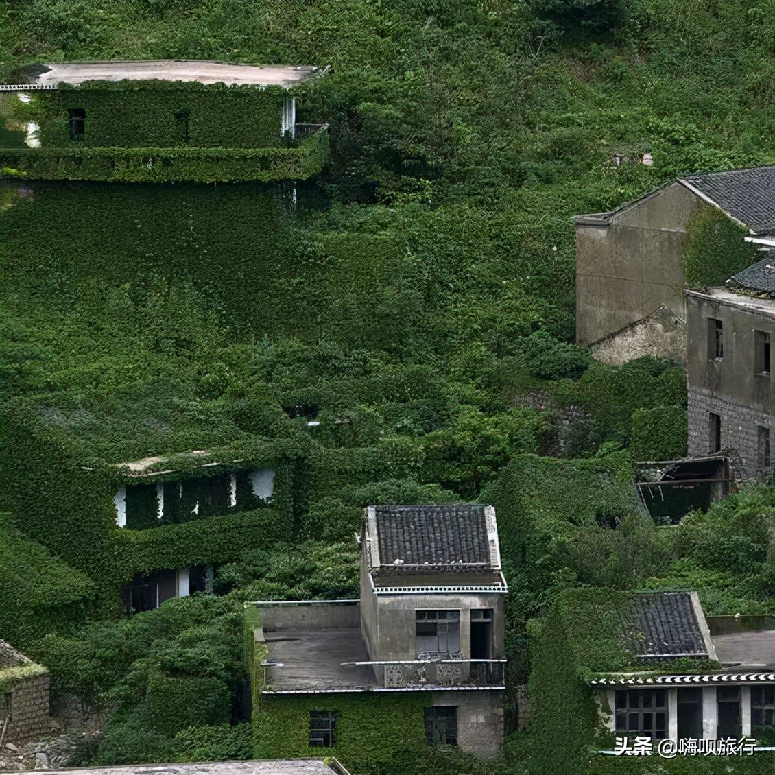 普陀旅游自由行攻略一日游,普陀小众海岛出游路线看完就出发
