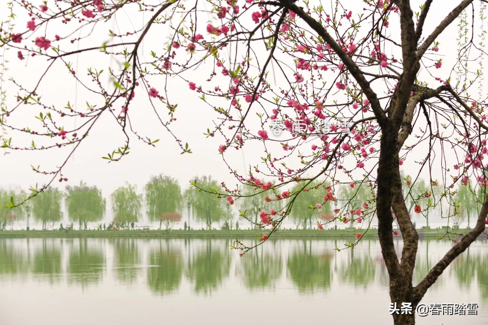 西湖十景苏堤春晓,西湖十景最美的是哪个