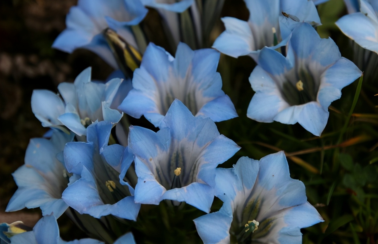 40岁以后毛孔明显了,40岁女人脸上毛孔大怎么办