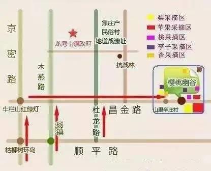 樱桃熟了春天的气息,樱桃熟了踏青采摘乐享乡村游