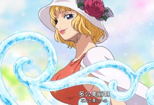 海贼王中最漂亮的女人,海贼王中最漂亮的十名女生