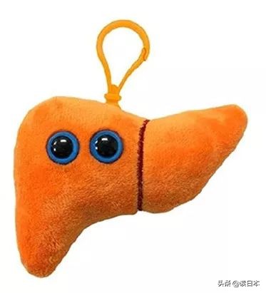 “*体器人官**”挂件或成为日本最新潮流？网友：我的钱包又要哭了