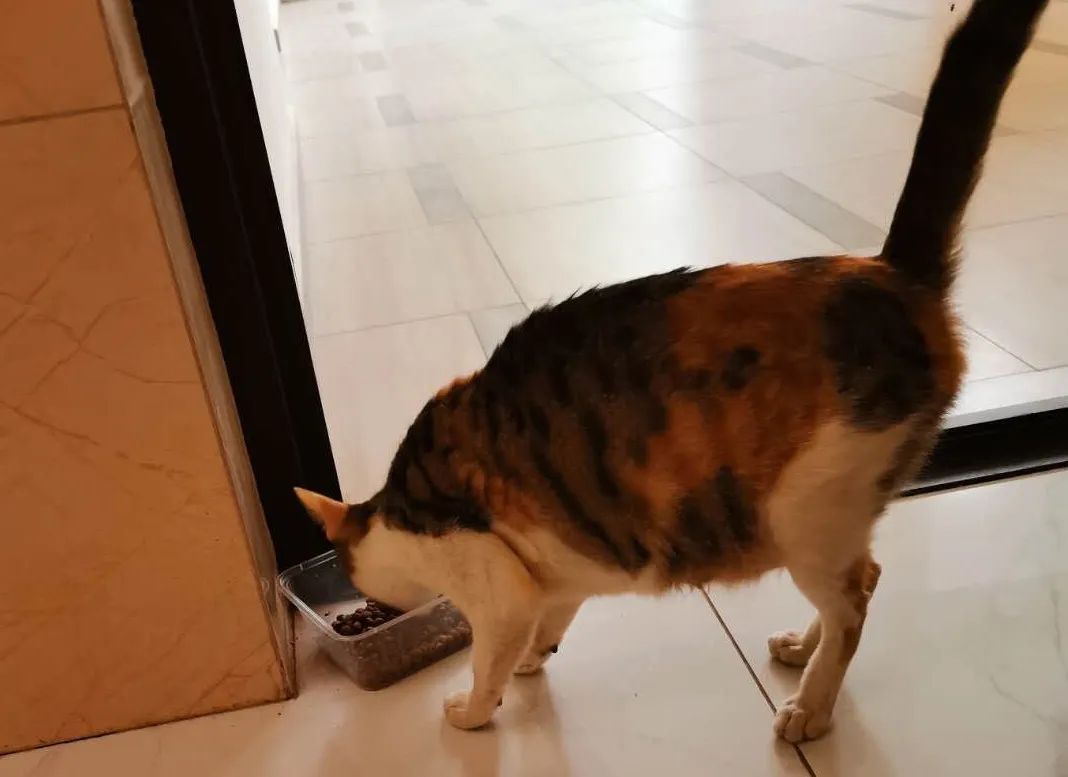 惠州惠城哪个社区最美,惠州市十佳小区