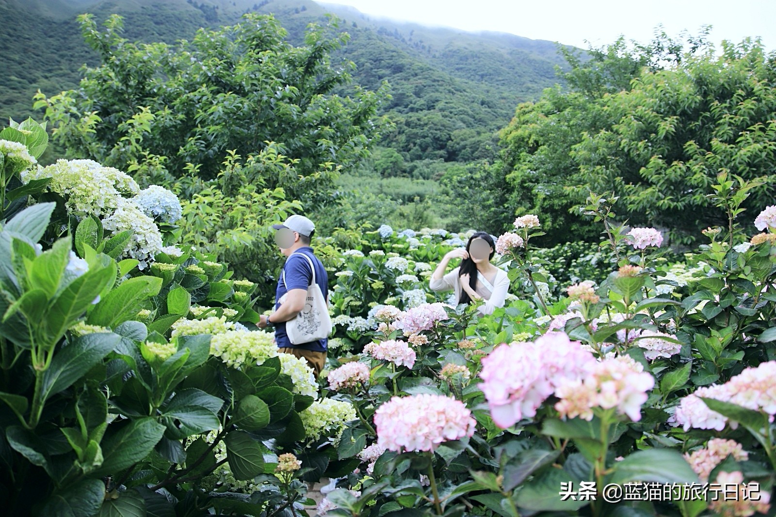 520最浪漫的旅游地,520浪漫出游地