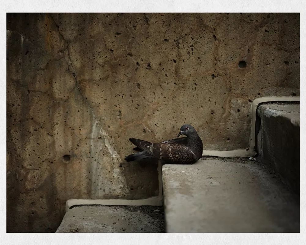 2亿像素和4800万像素的画质哪个好,像素高就一定好吗