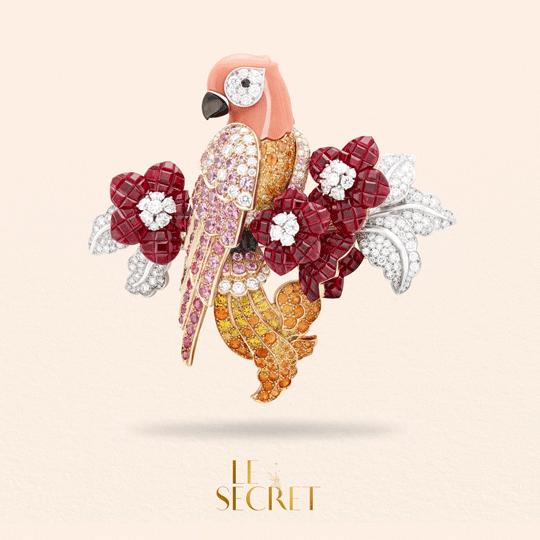 一条梵克雅宝的四叶草项链报价,白贝母项链梵克雅宝价格表