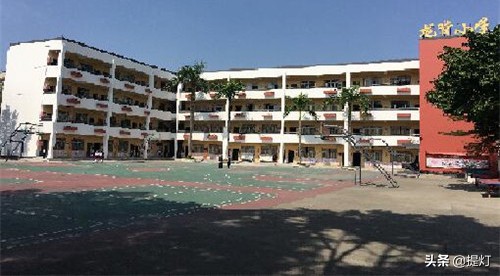 深圳坪山小学排名2019,深圳坪山小升初小学排行榜