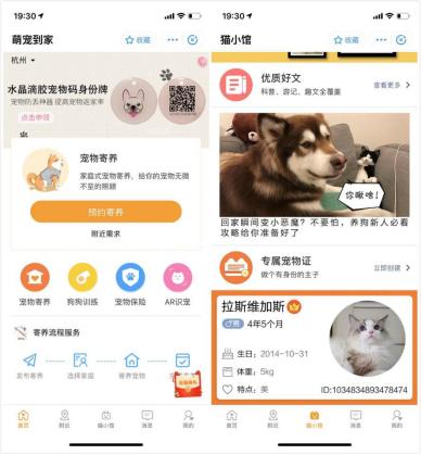 支付宝小程序全套,支付宝小程序特色功能