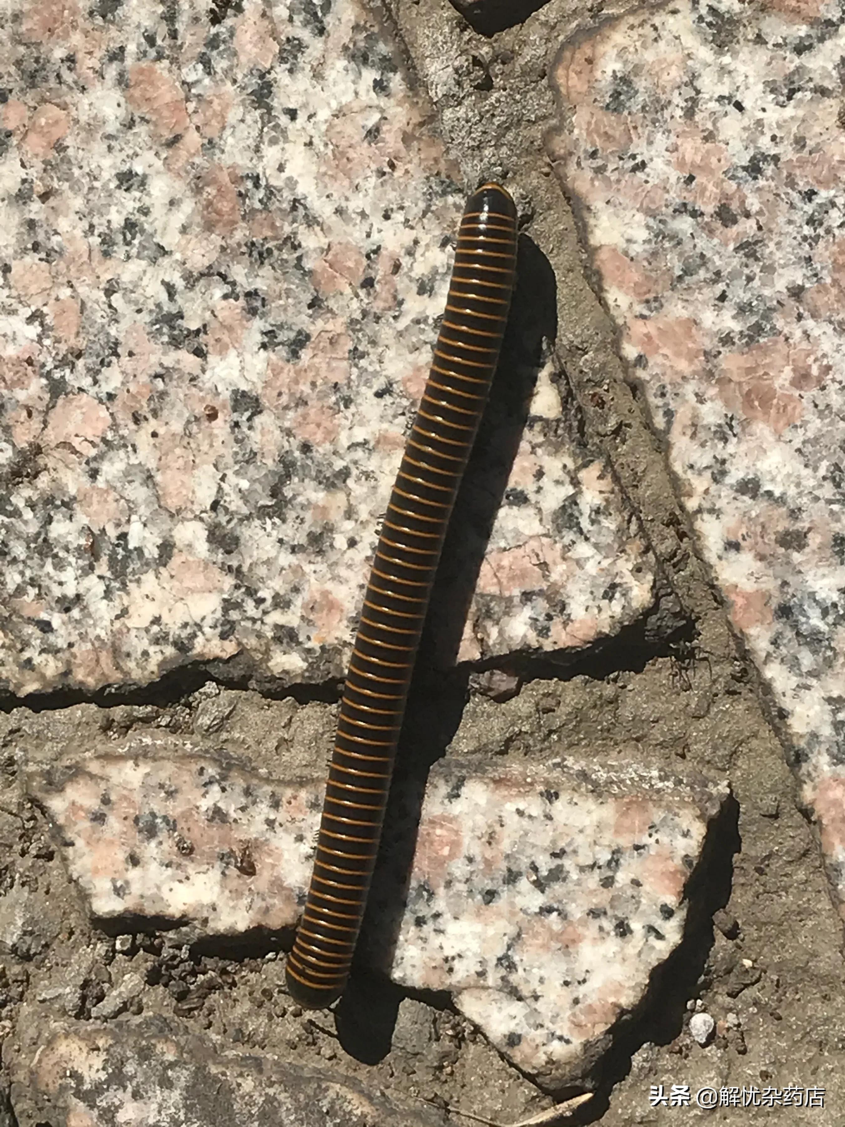 秦皇岛板厂峪长城公园,秦皇岛板厂峪长城