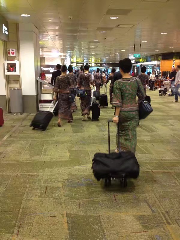 新加坡之旅短视频,新加坡之旅图片