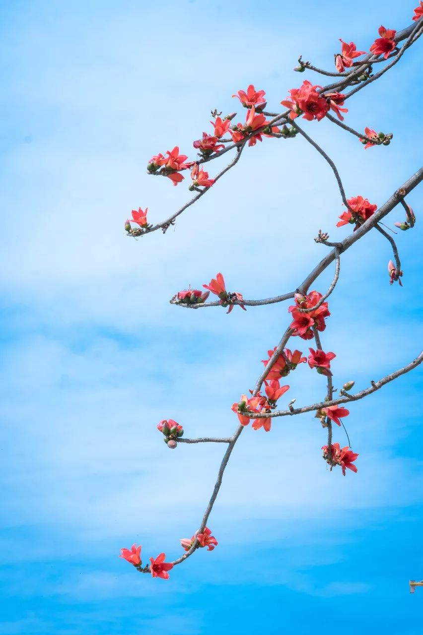 别在年轻的时候去四川！因为你的余生，都将沉醉在她的魅力里