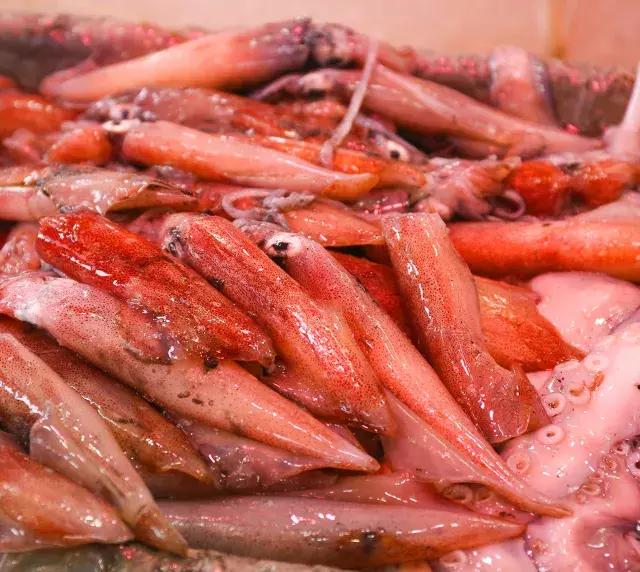 深汕生日快乐,深圳经济特区的生日