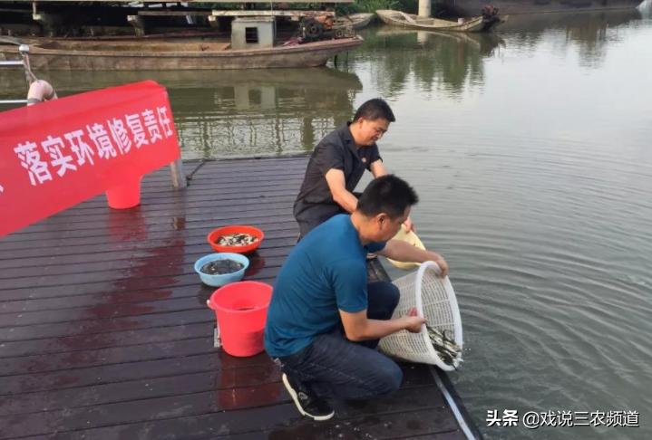 2019农村这三件事将严查,农村这七种违法行为一定要注意了