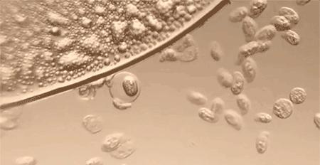 男性私部潮湿发痒用什么中成药,潮湿瘙痒有异味用什么药物洗