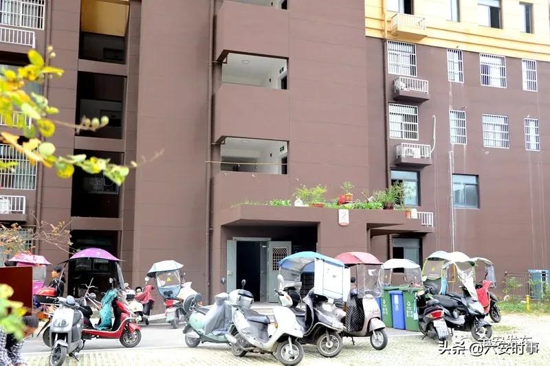 暗访！龙河苑、世纪家园、清水河畔一期、徽盐·湖畔明珠存在这些问题