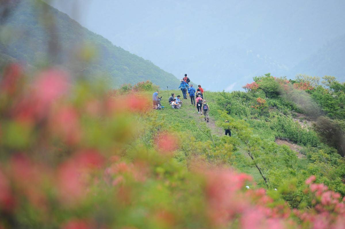 宁国吴越古道徒步方案,吴越古道徒步攻略临安