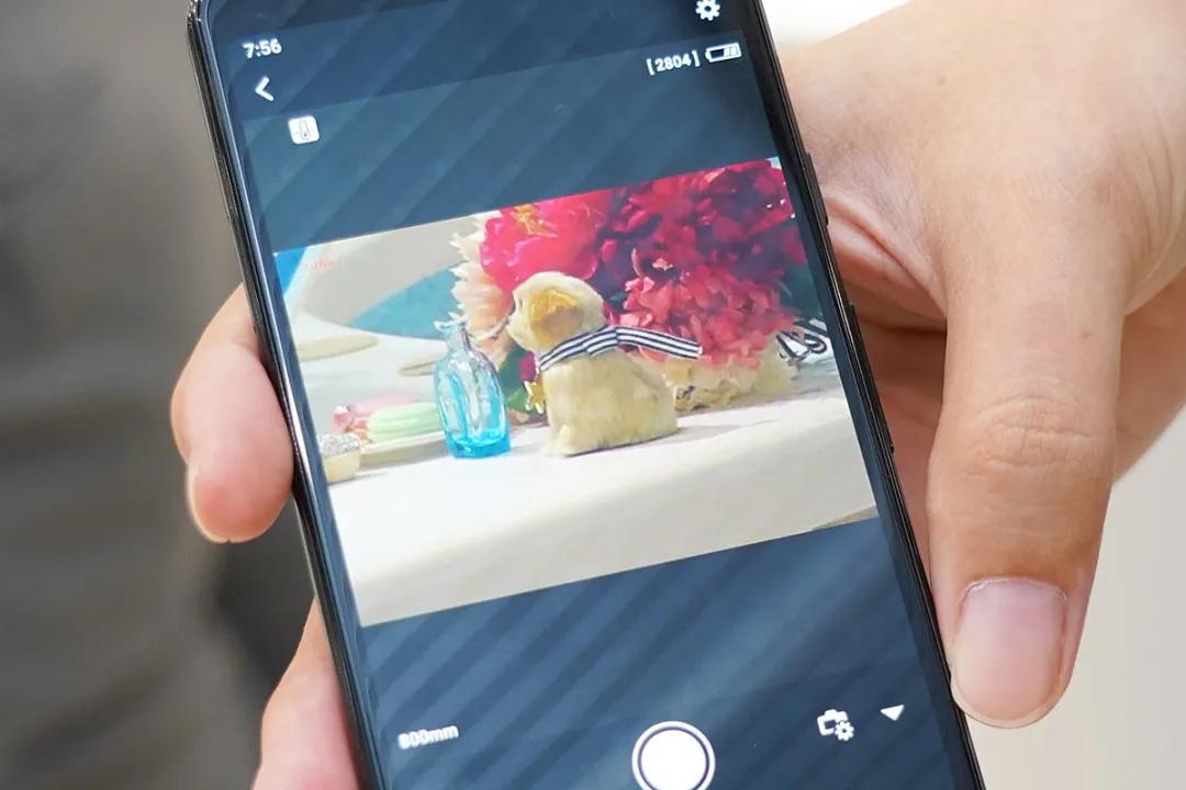 佳能1000倍变焦望远镜,真会玩在线观看