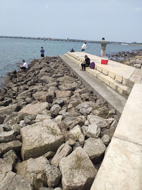 滨海临港经济开发区,滨海新区临港经济区都包括哪里