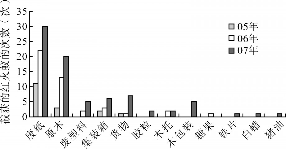 红火蚁外来物种,红火蚁密密麻麻