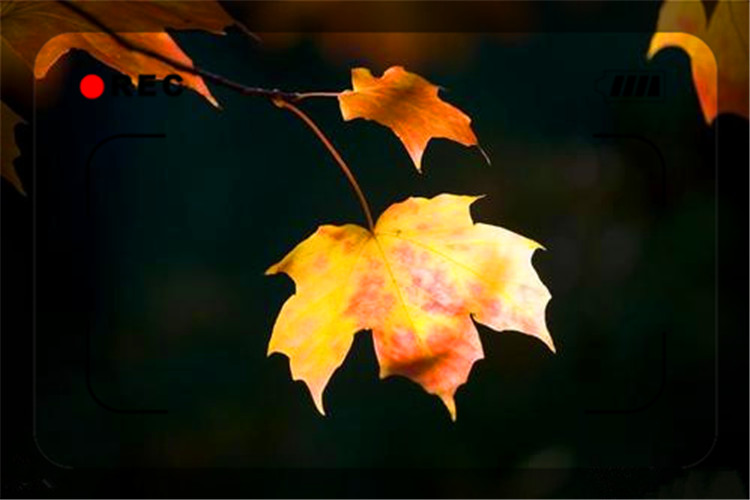 在外漂泊的人最需要什么,一个人40岁还一事无成该怎么办