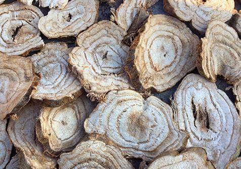 藁本神农本草经,神农本草经葛根原文