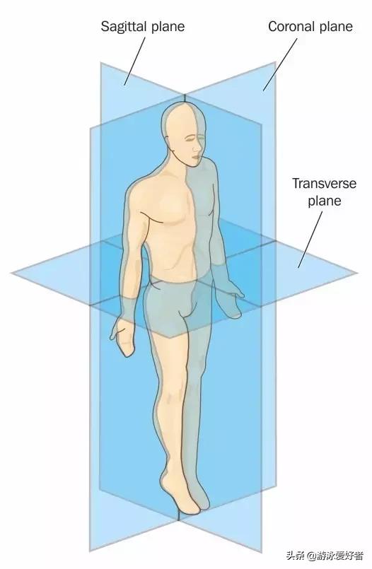自由泳最全的技术技巧讲解,如何快速并省力地游玩自由泳100米