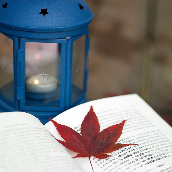 四年级上册垂线与平行线的知识点,冀教版四年级数学平行线垂线习题