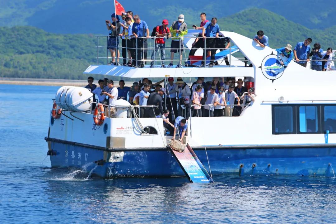 非法出售海砂定罪,非法交易乌龟案