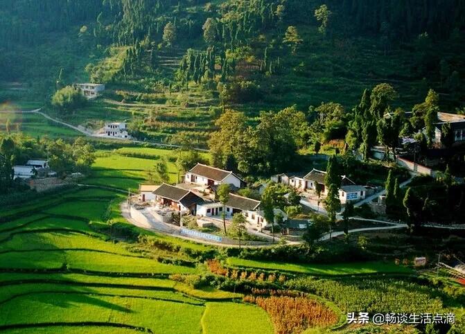 去除夏日蚊子的生活妙招,花园去除蚊子的小妙招