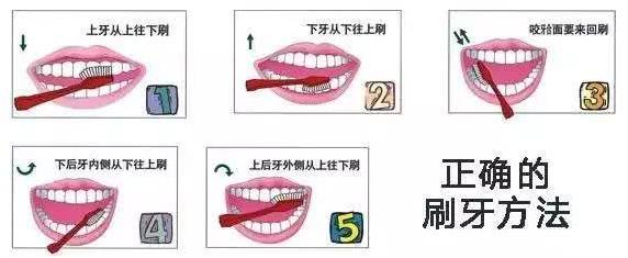 牙龈肿痛怎么缓解土方法,牙龈肿痛的正确方法
